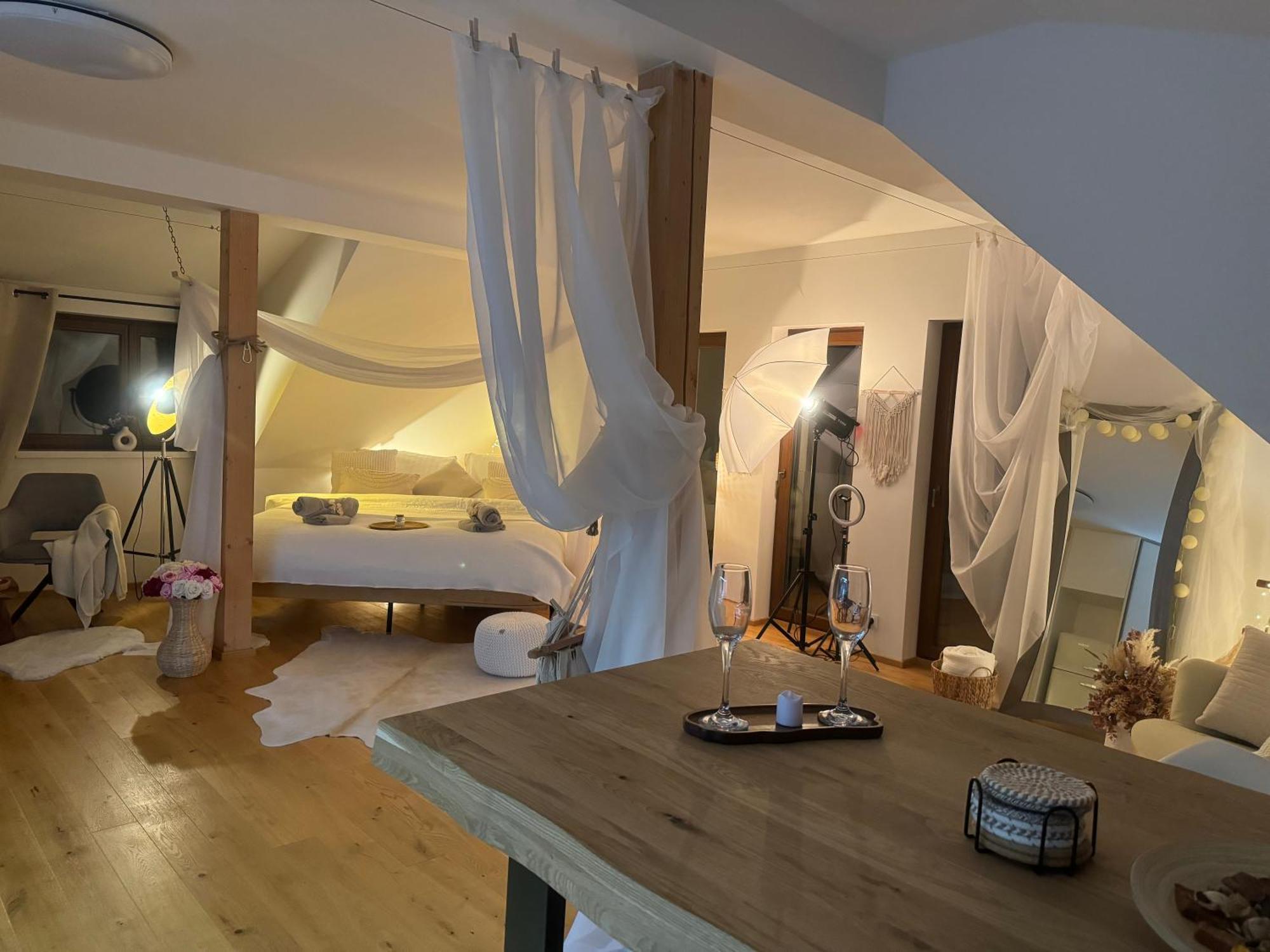 Kralovice Apartment *