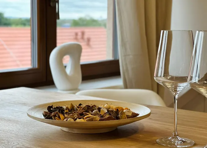 Studio Kralovice Apartment