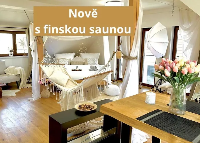 Studio Kralovice Apartment
